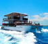 Adventure Party Cruises