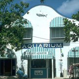 Key West Aquarium